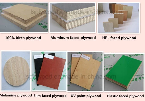 White Glossy Waterproof Polyester Plywood/Decorative, Furniture Grade