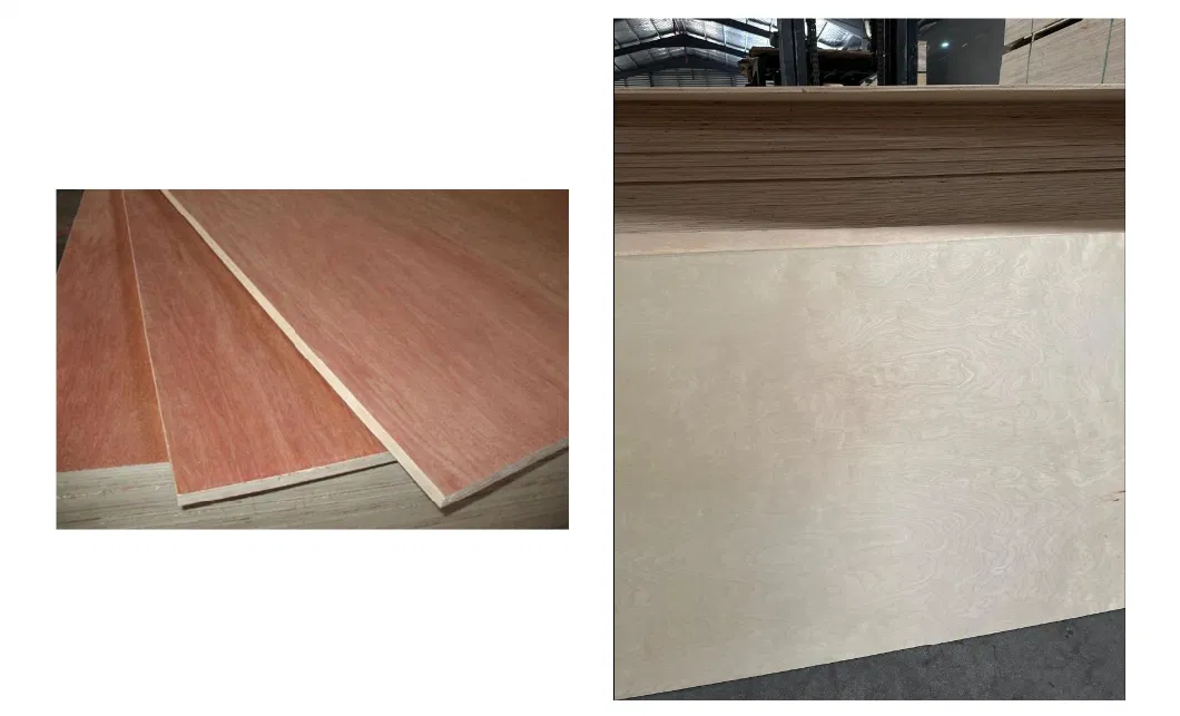 1220*2440*3.6/5.2/9/12/15/18mm Bintangor Plywood Poplar Core BB/CC Packing/Decoration/Furniture