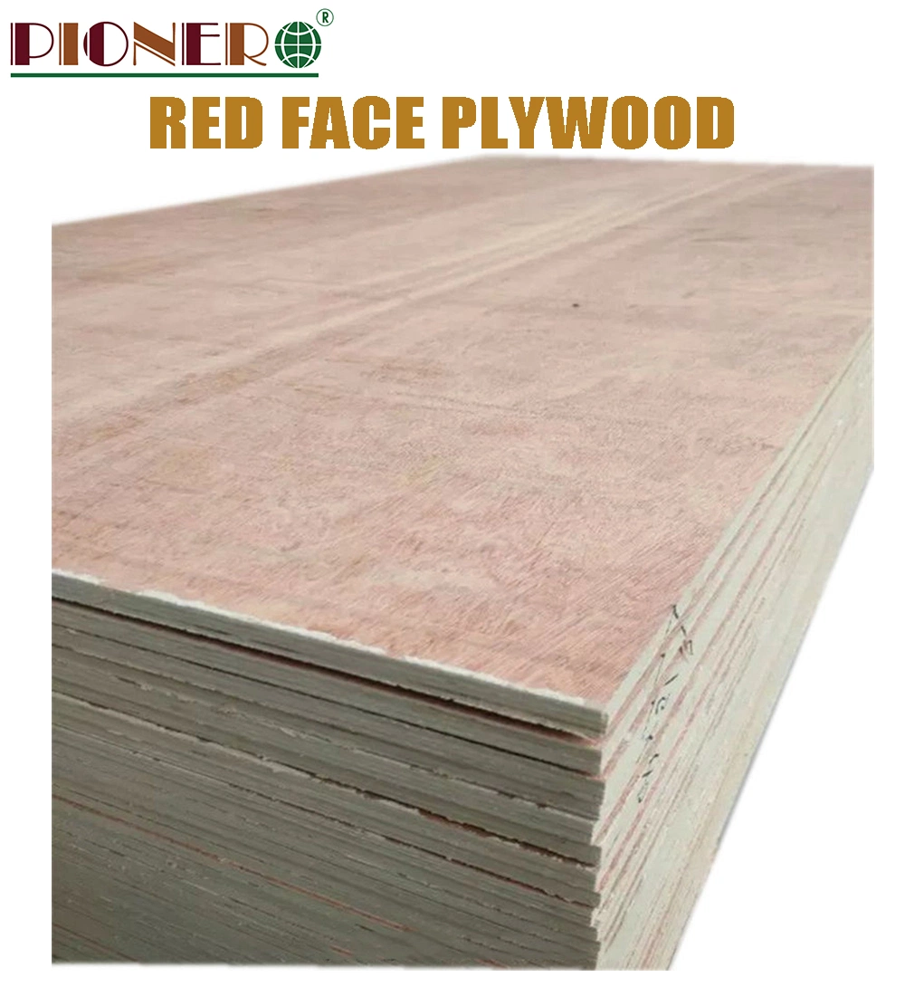 Hot Sales Commercial Plywood for Middle East and North Africa